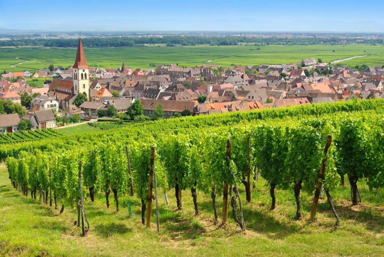 Aparthotel Goélia Le Domaine du Golf Ammerschwihr Esterno foto